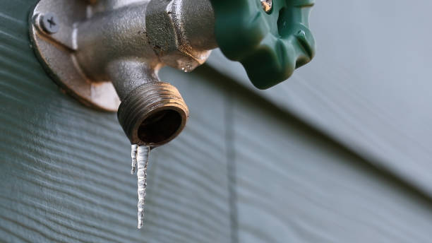 Best Drain Cleaning Services  in Frewsburg, NY